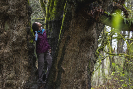 Спортивная бутылка для воды Klean Kanteen Classic Flip Sport 800 мл Clear Sky