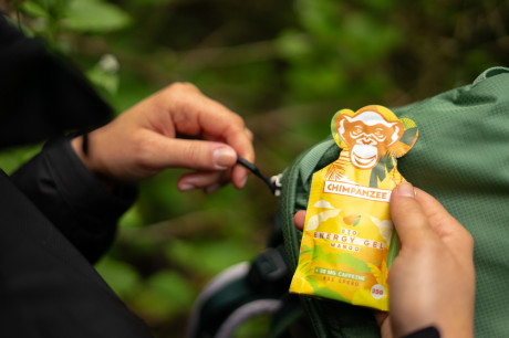 Энергетический гель Chimpanzee Energy Gel Mango 35 г Энергетический гель Chimpanzee Energy Gel Mango 35 г